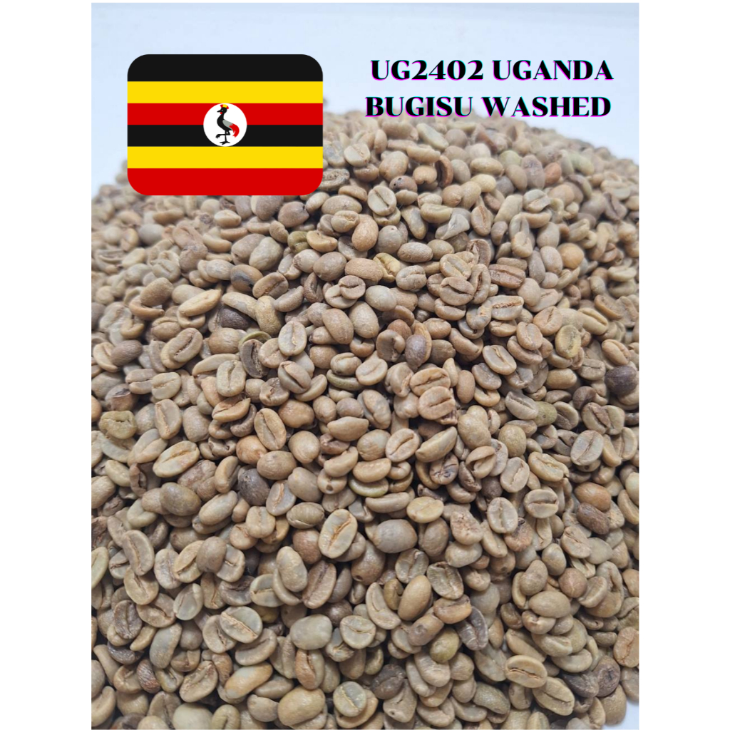UG2402  Uganda Bugisu Washed