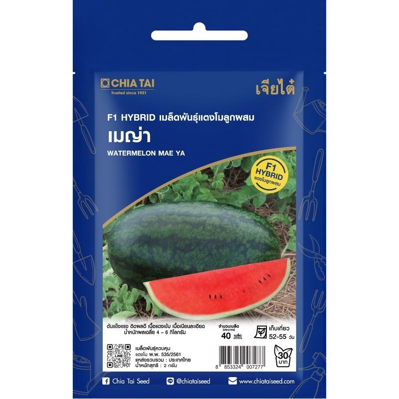 เมล็ดพันธุ์ แตงโม เมญ่า เจียไต๋