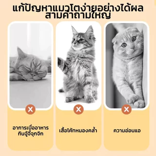 PETLUSCI ฟรีซดรายแมว 50G รสชาติต่างๆ อกไก่ ไข่แดง หญ้าแมว หอม ทานง่าย อุดมไปด้วยโปรตีน ขนมแมว ขนมหมา