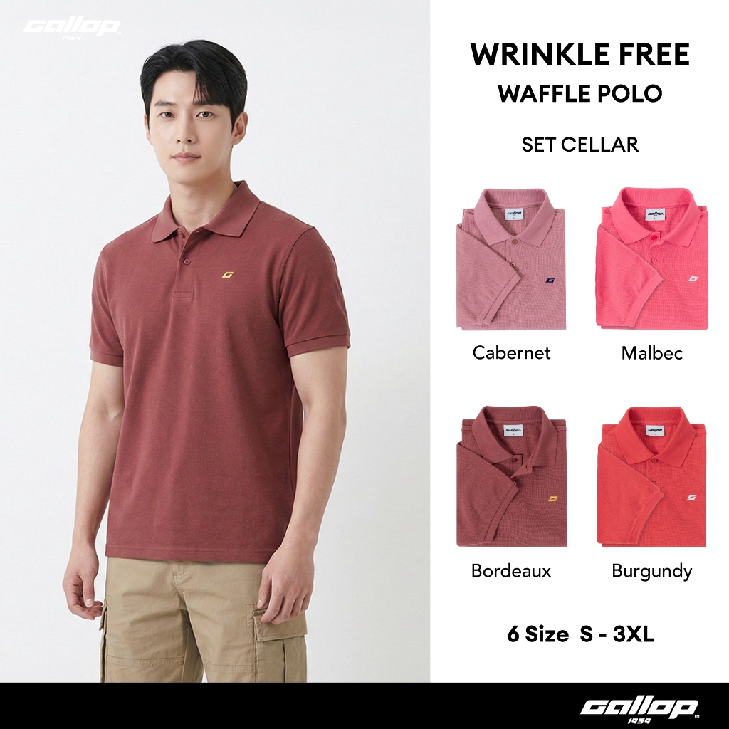 GALLOP : WRINKLE FREE WAFFLE POLO เสื้อโปโลผ้าวาฟเฟิลผู้ชาย รุ่น GP9062 Set CELLAR Color / ราคาปกติ 1290.-