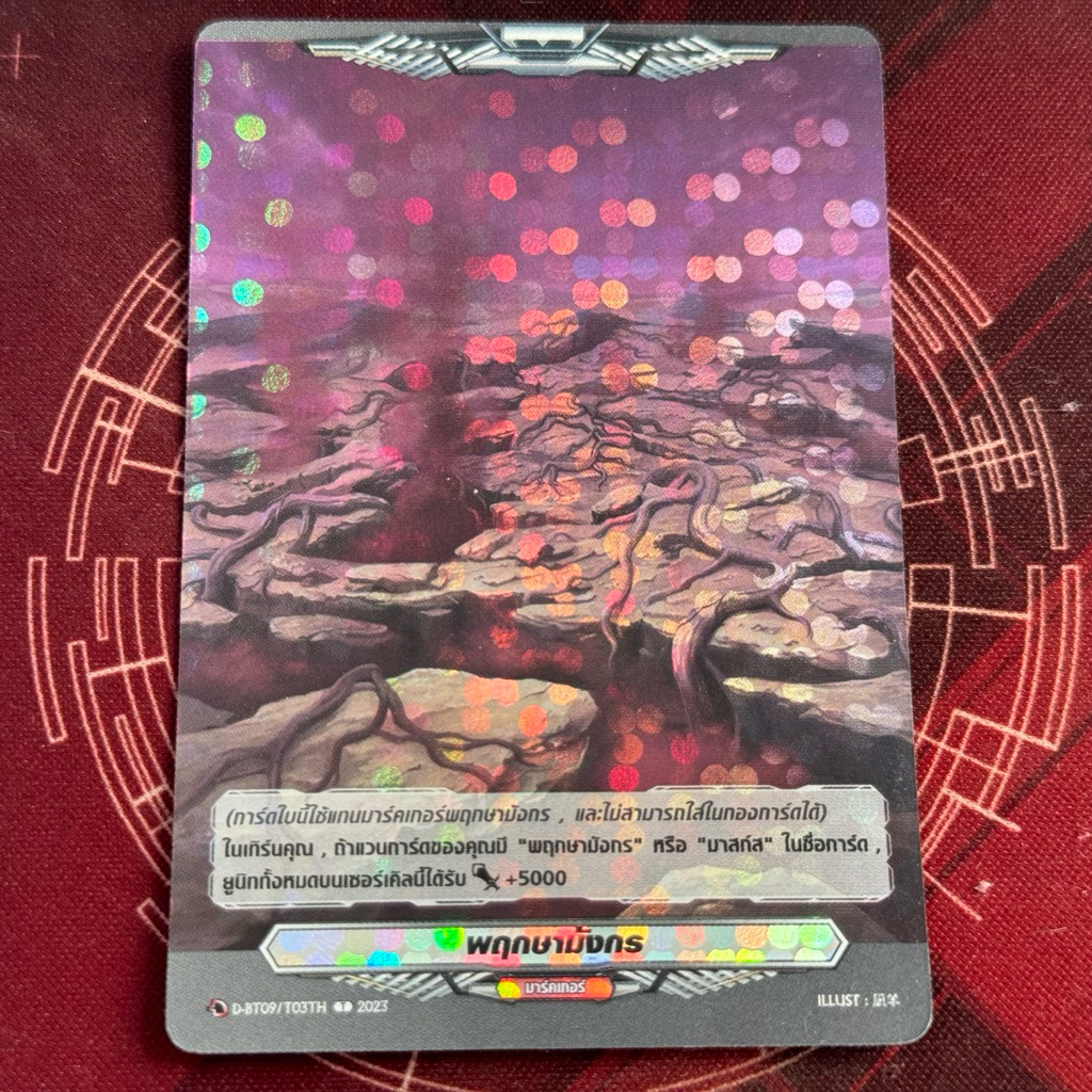 Dbt09 พฤกษามังกร แวนการ์ดฟรอย พีอา