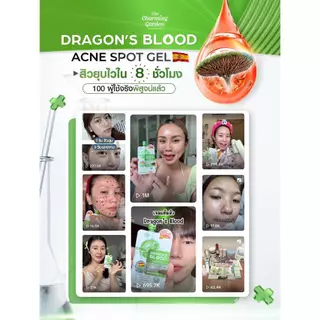 Dragon's Blood Acne Spot Gel (เขียว) เดอะ ชาร์มมิ่ง ดราก้อน บลัด แอคเน่ สปอต เจล 7 กรัม