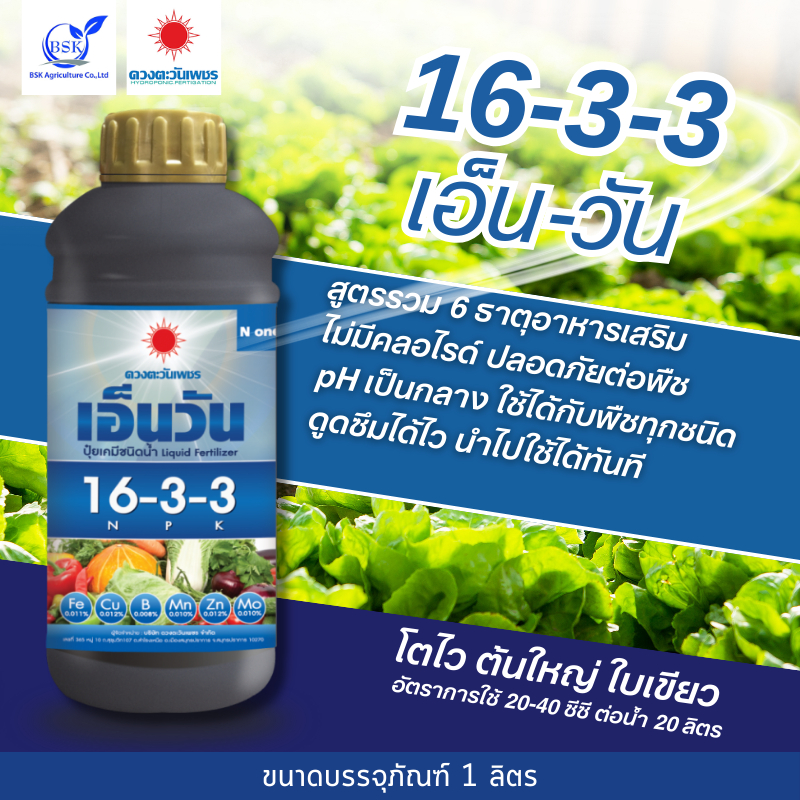 16-3-3 เอ็น-วัน 1L ( ดวงตะวันเพชร ) #BSK