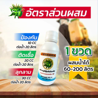 ชุดสามสหาย ผงดำเทพสถิตย์ 2 กรัม + ยาคาร่าวัคซีนพืช 100 มล. + คิวบั๊ก 100 มล. เสริมธา่่ตุอาหาร สร้างภูมิคุ้มกันโรคและแมลง