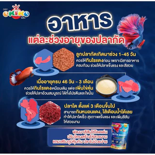 อาหารปลากัด FLAVOR FOR BETTA 30g. และ OKIKO BETTA BRIGHT 20g อาหารปลากัด สูตรเร่งสี เกล็ด ครีบ แข็งแรง ไม่ทำให้น้ำขุ่น