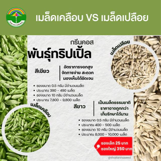 เมล็ดพันธุ์ผักสลัด กรีนคอส พันธุ์ทริปเปิ้ล ( ขนาด 0.5 กรัม ) ( เมล็ดเปลือย ) รหัสสินค้า 3017