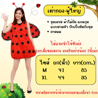มีส่งแมส จาก กทม🔥ชุดผึ้ง ชุดเต่าทอง ผู้ใหญ่ ชุดสัตว์ แฟนซี ชุดการแสดง นิทาน Bee costume