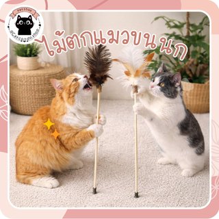 ไม้ตกแมวขนนกกระจอกเทศ ไม้ล่อแมวขนนกธรรมชาติ ด้ามยาวพิเศษ 55 ซม. ของเล่นแมว