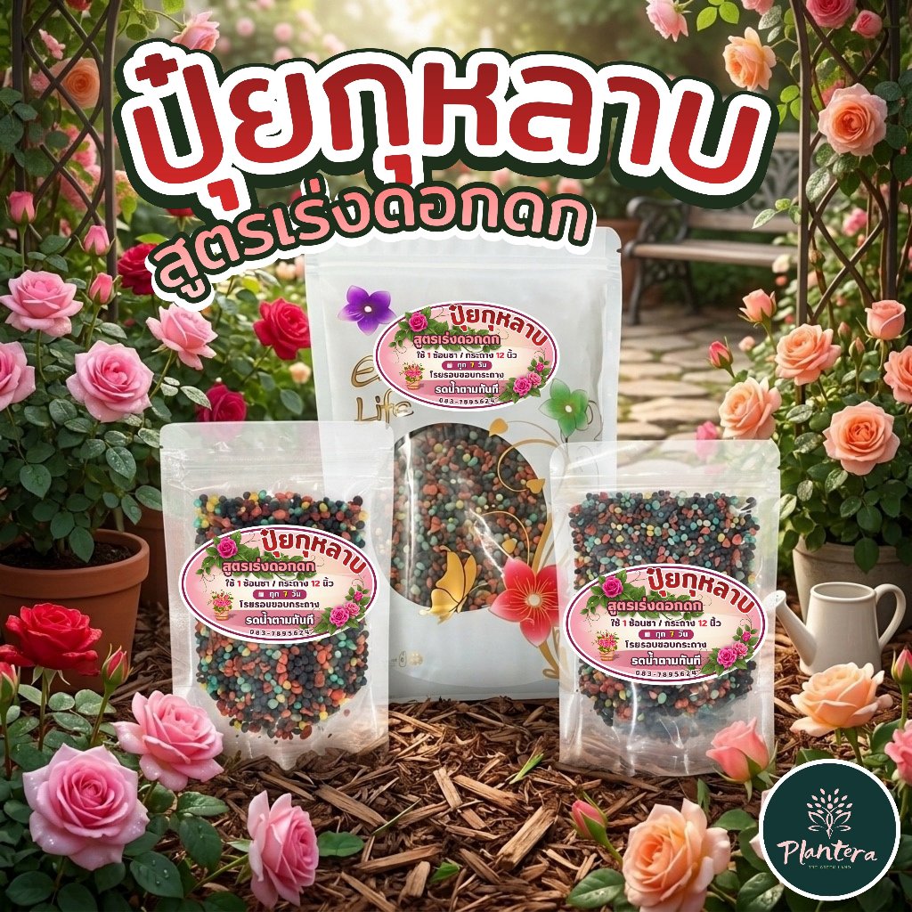 Plantera ปุ๋ยกุหลาบ 🌹 เร่งดอกดก [สูตรพิเศษที่คัดสรรมาโดยเฉพาะ] ขนาด 500 กรัม, 250 กรัม, 100 กรัม