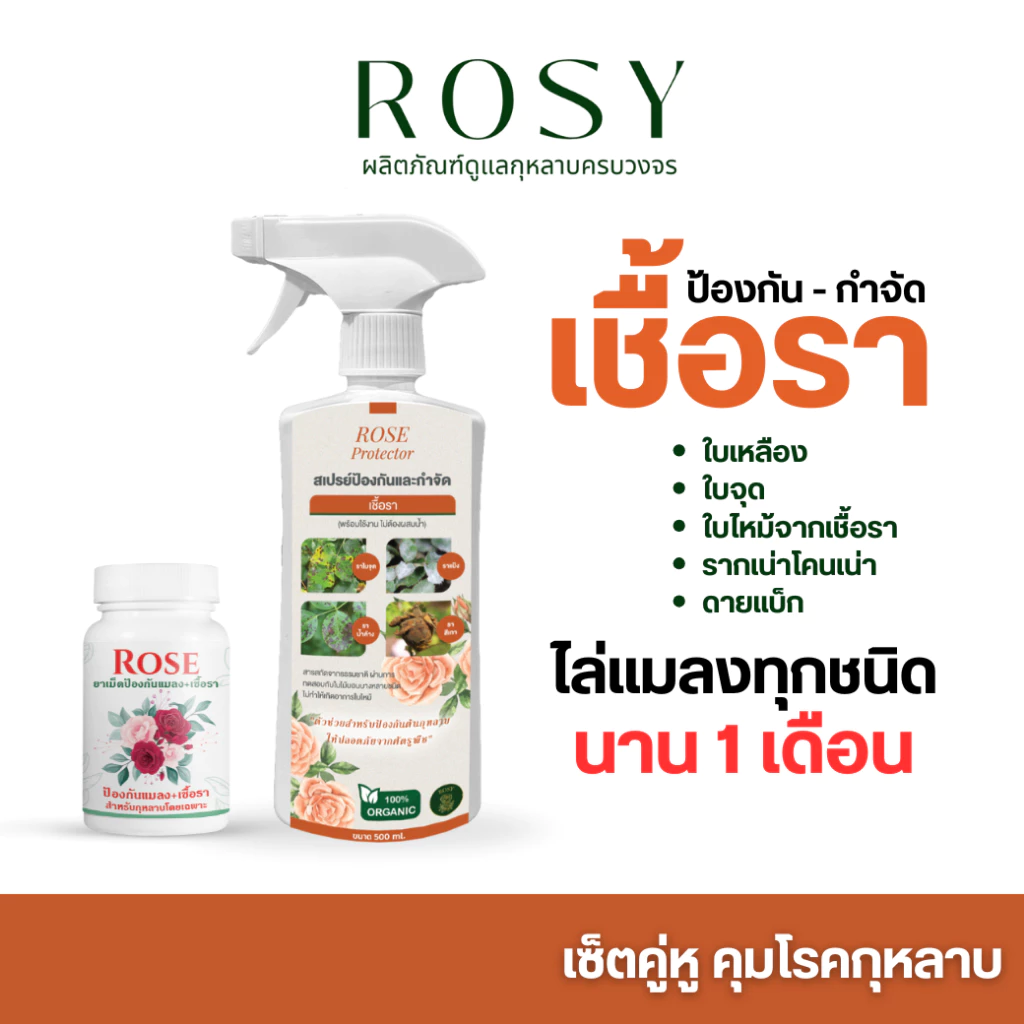 Rosy เซ็ทคู่หู [ สเปรย์กำจัดเชื้อรา + ยาเม็ดฝังดิน ] ป้องกันและกำจัดเชื้อรา ใบเหลืองมึจุดดำ คุมโรคและแมลงนาน 1 เดือน