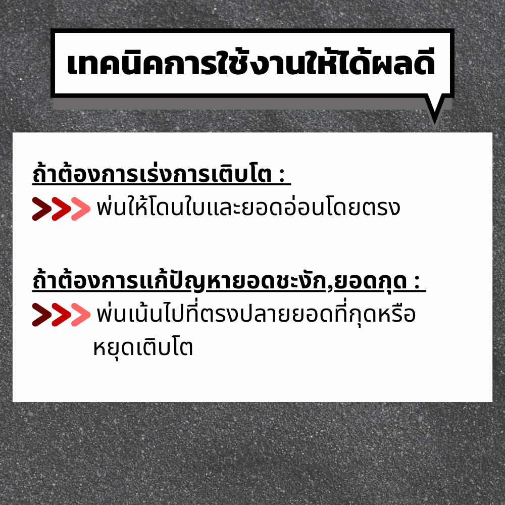 PGS1 น้ำยาสร้างยอด เร่งการเติบโต – ชนิดผสมน้ำพ่น ราคา ถูกที่สุด ดีลบีเคเค แกลเลอรีภาพที่ 7