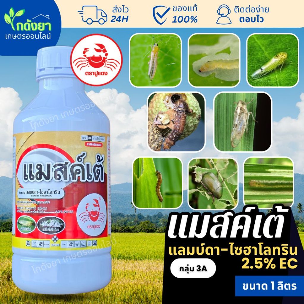 แมสเต้ 1L แลมดาไซฮาโลทริน ตราปูแดง ยาน๊อค สูตรเย็น