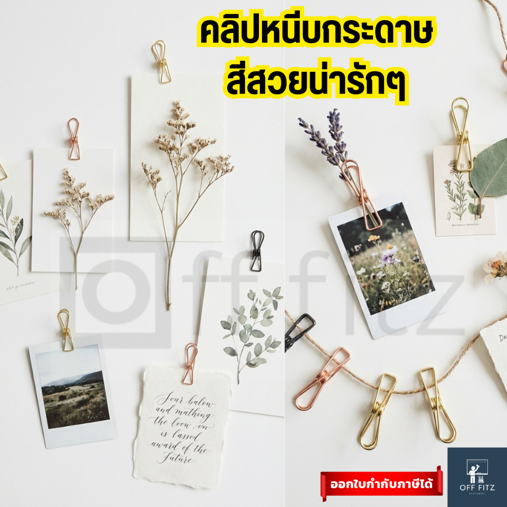คลิปหนีบกระดาษ สีสวยน่ารักๆ