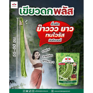 ถั่วฝักยาว เขียวดกพลัส 500 กรัม ศรแดง