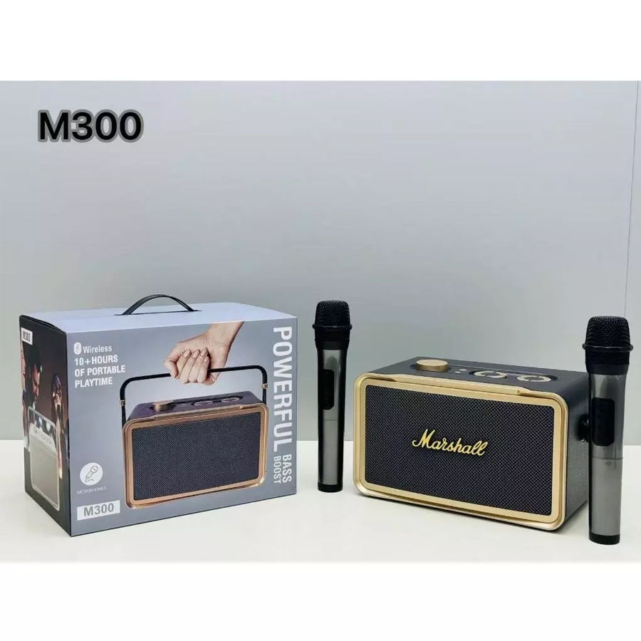PORTABLE BT SPEAKER WITH MIC M300