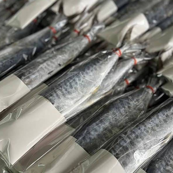 ปลาอินทรีย์หอม ทำบนเรือ สด สะอาด เค็มกำลังดี ขนาด 150-200 กรัม