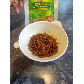 หนอนนก EXOTIC PROTEIN WORM สเตอริไลซ์ ฆ่าเชื้อ แบบต้ม เก็บได้1ปี ไม่ต้องแช่เย็น เหมาะสำหรับ ชูการ์ แม่นแคะ สัตว์ฟันแทะ