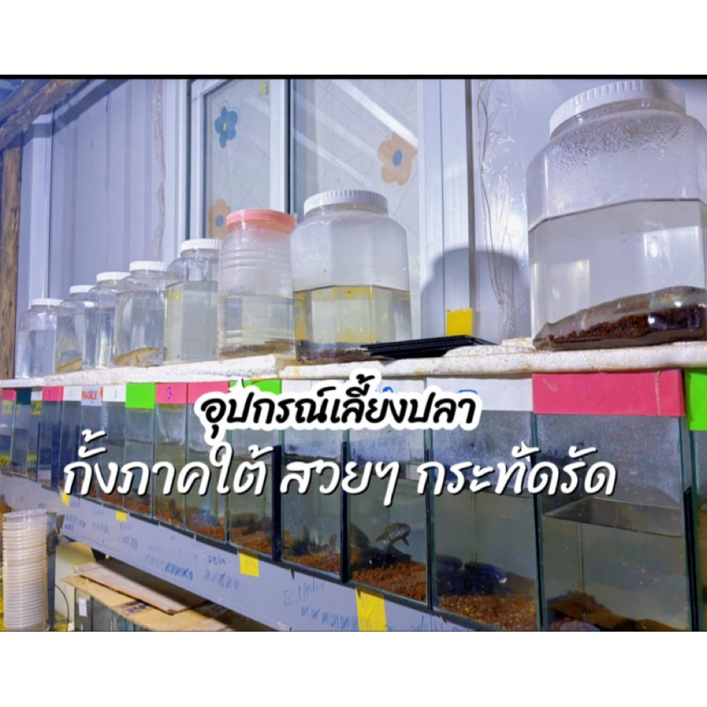 อุปกรณ์เลี้ยงปลา อุปกรณ์เลี้ยงปลากั้งใต้
