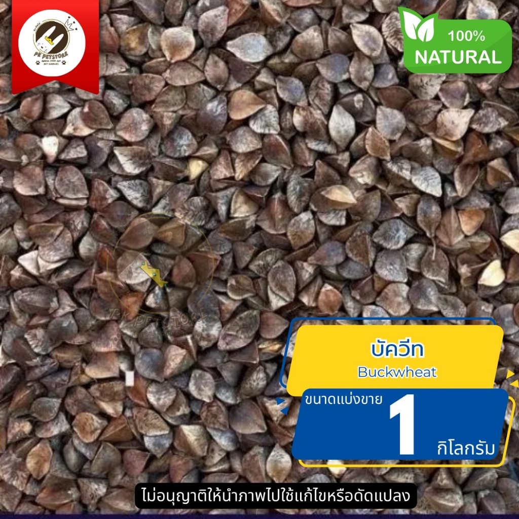 ธัญพืช Seed บัควีท (Buckwheat) สำหรับนก มีใยอาหารสูง ช่วยให้ระบบย่อยอาหารทำงานได้อย่าง เป็นปกติแหล่งโปรตีนคุณภาพสูง