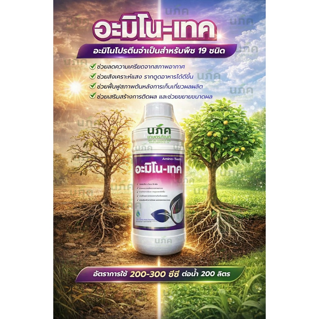 อะมิโน - เทค ขนาด 1 ลิตร โปรตีนที่จำเป็นต่อพืช 19 ชนิด ช่วยฟื้นฟูสภาพต้น