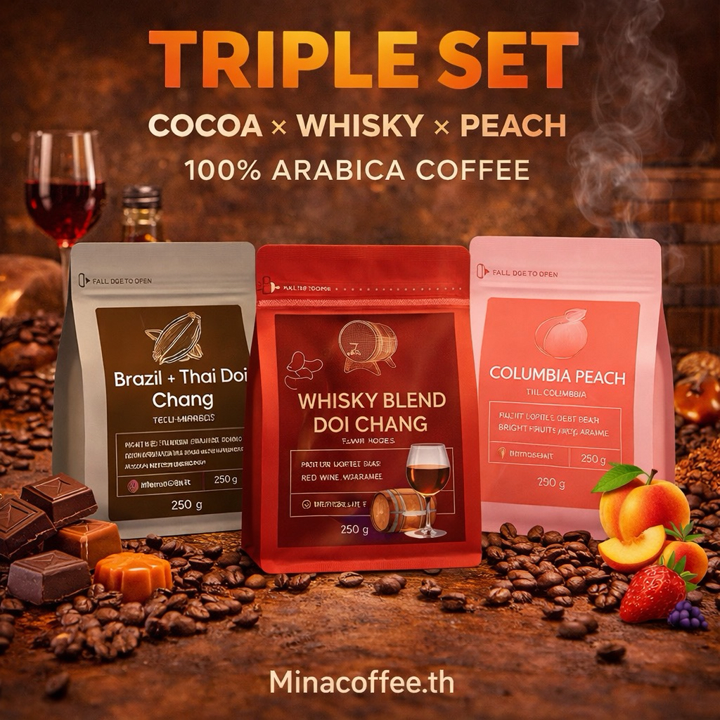 Triple Set เมล็ดกาแฟ Specialty 3 รส Winey Thai Doi Chang + Colombia Peach + Brazil x Thai Doi Chang