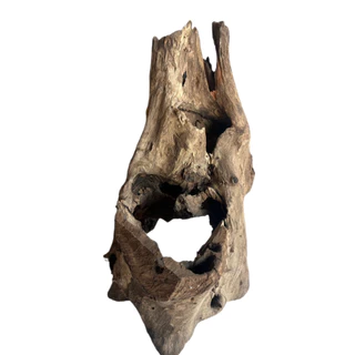 ตอไม้ ที่นอนชูก้า driftwood ตอไม้แต่งสวน