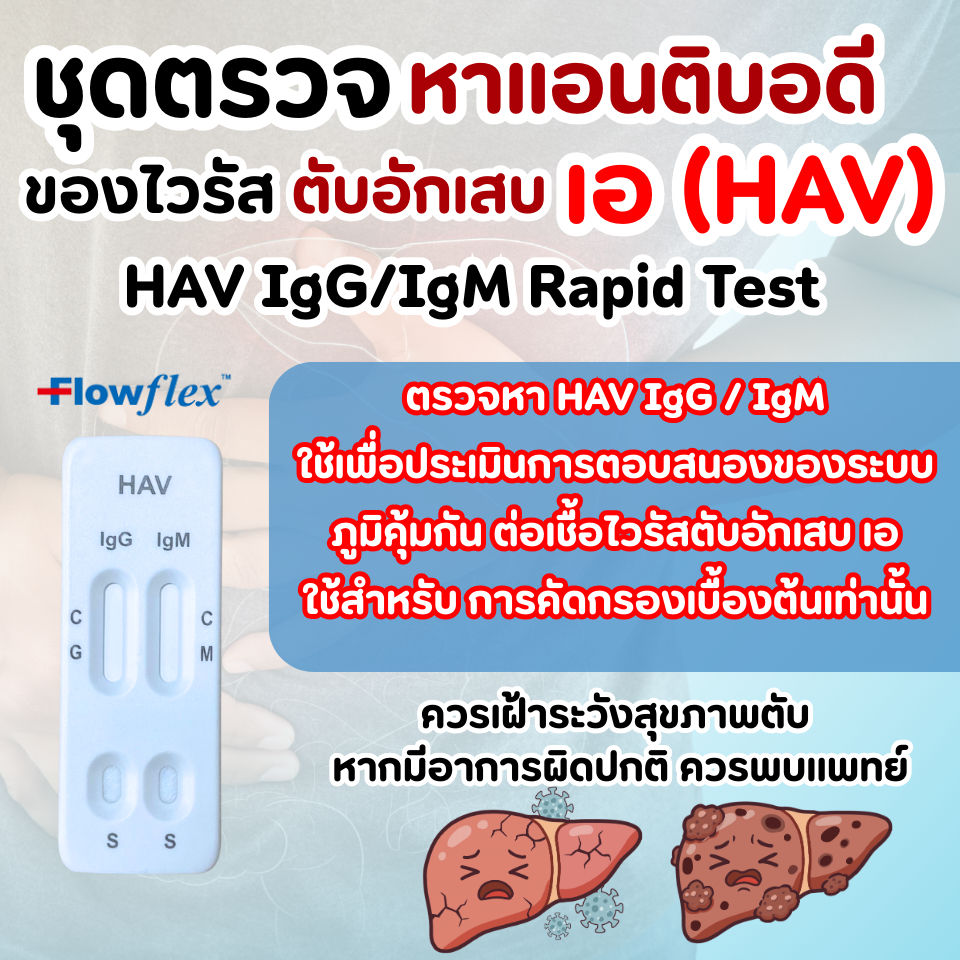 FlowFlex ชุดตรวจ หาการติดเชื้อไวรัสตับอักเสบเอ HAV IgG/IgM Test – ตรวจภูมิ ตรวจหาการติดเชื้อได้ในบ้า