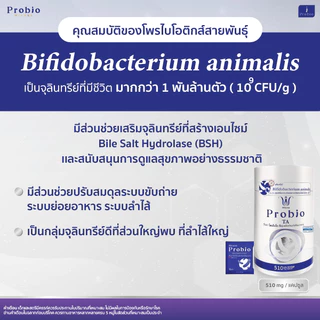 วิโนน่า โพรไบโอ สูตร3 TA (30 แคปซูล) Winona Probio TA