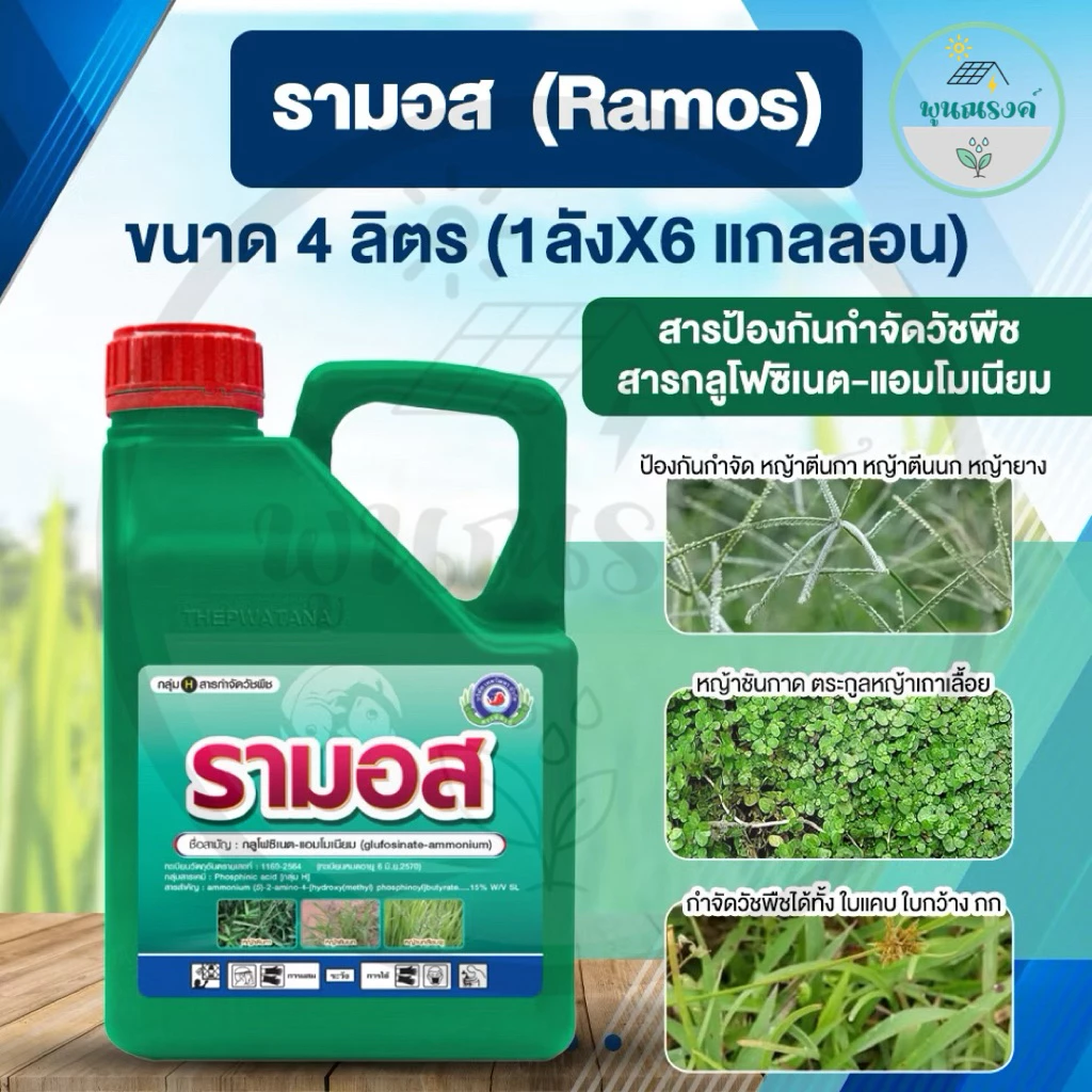 รามอส (Ramos) ขนาด 4ลิตร สารป้องกันกำจัดวัชพืช (1ลังX6 แกลลอน) By พูนณรงค์