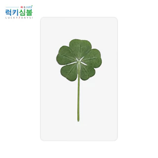 🇰🇷🍀(พร้อมส่ง/แท้)ใบโคลเวอร์ 4และ5แฉก ใบจริง ของแท้จากเกาหลี Leaf Cloverใบไม้แห่งความโชคดี