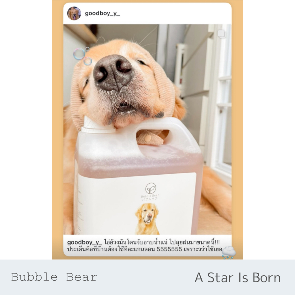 Bubble Bear A Star Is Born แชมพูสัตว์เลี้ยง (ขนาด 500ml / รูปที่ 6