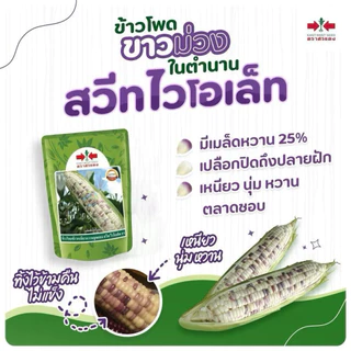 ข้าวโพดข้าวเหนียว สวีทไวโอเล็ท 1,000 เมล็ด ตราศรแดง