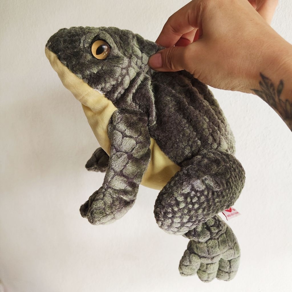 ตุ๊กตากบ ตุ๊กตาสัตว์เหมือนจริง TY Beanie Babies Vintage 90s Spinner Spider-Ponder Frog-Glider Bird B