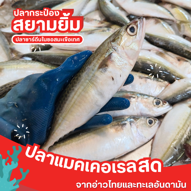 ปลากระป๋อง ปลาแมคเคอเรลในซอสมะเขือเทศ ตราสยามยิ้ม ขนาด 145 กรัม ราคา ถูกที่สุด ดีลบีเคเค แกลเลอรีภาพที่ 2