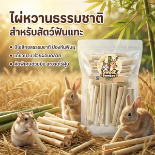 PETLUSCI® ไม้ไผ่หวาน 500g ขนมลับฟัน ธรรมชาติ สำหรับ กระต่าย เม่นแคระ หนูแฮมเตอร์ และสัตว์ฟันแทะอื่น