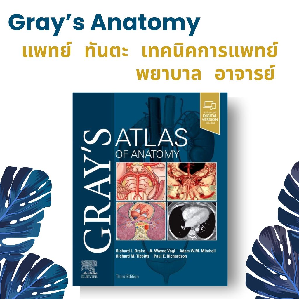 Gray's Atlas of Anatomy | หนังสือ Anatomy ระดับโลกระดับโลก [ lab gross ต้อง A! ]