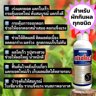 เฟรชโกรว์ สาหร่ายทะเลผสมกรดอะมิโน อาหารเสริมพืชสูตรเข้มข้น (ขนาด 500 ซีซี / 1 ลิตร) ช่วยเปิดตาดอก ฟื้นต้นโทรม บำรุงผลดก⁠
