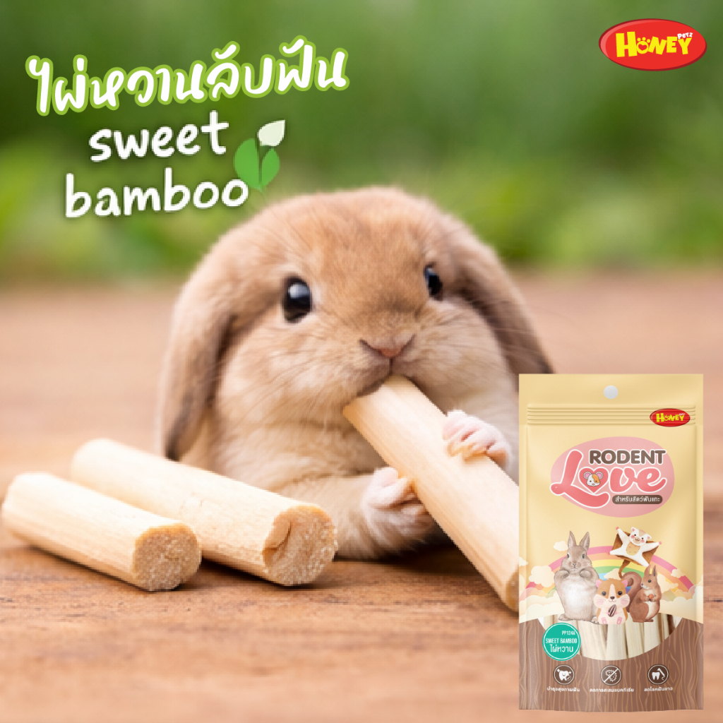 [HoneyPetz]วอลนัท ไผ่หวาน ขนมลับฟันสัตว์เล็ก ไม้แอปเปิ้ล ไผ่หวาน วอลนัท ลับฟัน จากธรรมชาติ พร้อมส่ง
