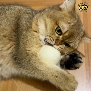 Heycat ลูกบอลแมวขนแกะ สัมผัสเนื้อนุ่มฟู ของเล่นแมว ขนาดใหญ่ 8 Cm.