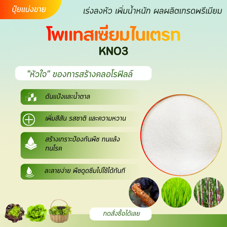 [ส่งฟรี] ปุ๋ยโพแทสเซียมไนเตรท 13-0-46 เกรดพรีเมียม (1 kg) เร่งหัว เพิ่มความหวาน ขยายขนาดผล ผลผลิตน้ำหนักดี ละลายน้ำ 100%