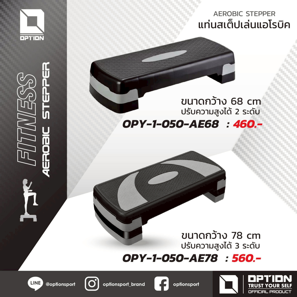 AEROBIC STEPPER แท่นสเต็ปเล่นแอโรบิก