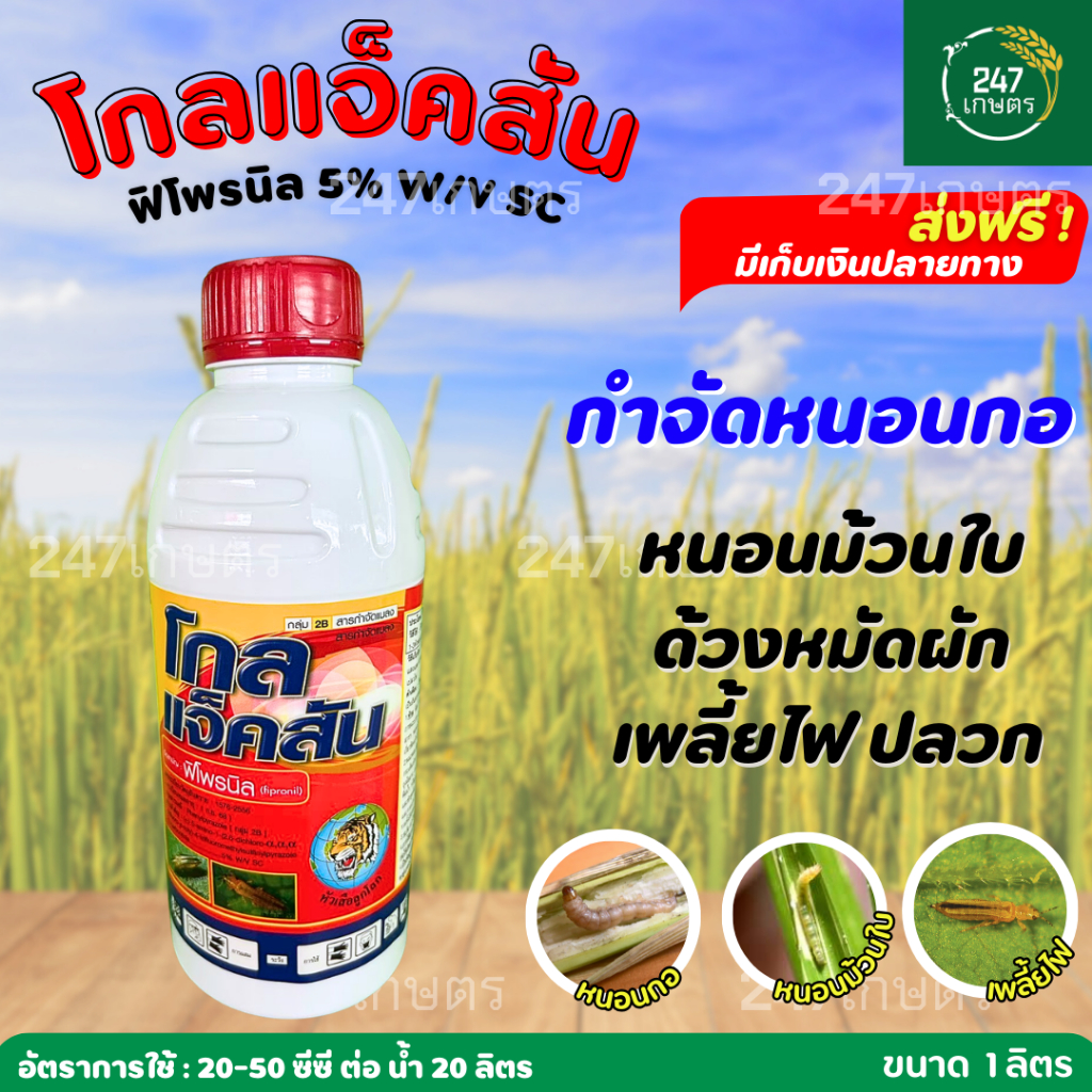 โกลแจ็คสัน ฟิโพรนิล หัวเสือ 1 ลิตร ป้องกันและกำจัดหนอนกอ หนอนม้วนใบ ด้วงหมัดผัก เพลี้ยไฟ ปลวก มด