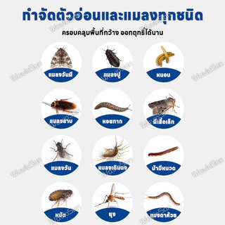 🚿ลดแมลงหวี่จากท่อ🚿ยาฆ่าแมลงในท่อระบายน้ำ น้ำยากำจัดแมลงในท่อ กำจัดแมลงหวี่ในท่อ กลิ่นไม่ฉุน ใช้ง่าย เทลงท่อได้เลย