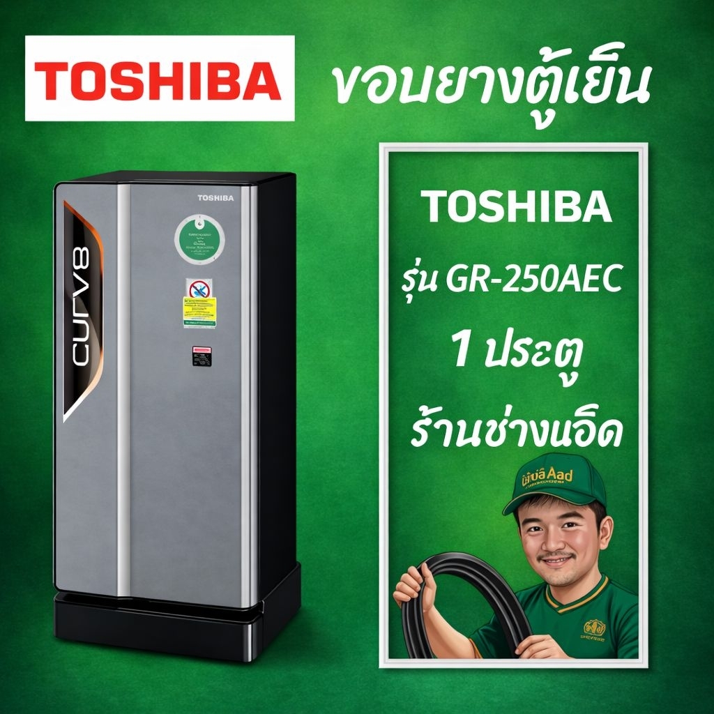 ขอบยางตู้เย็นTOSHIBAรุ่นGR-250AEC