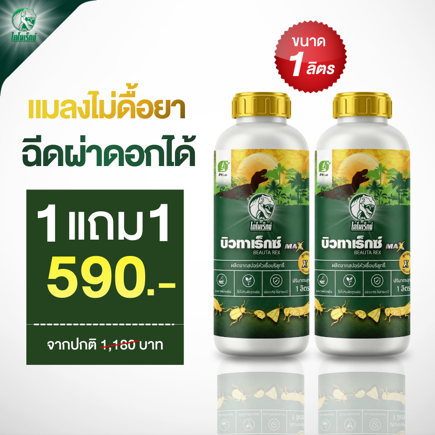[1แถม1] บิวทาเร็กซ์ แม็กซ์ 1 ลิตร ตราไดโนเร็กซ์ | ชีวภัณฑ์กำจัดแมลง เพลี้ยไฟ เพลี้ยแป้ง เพลี้ยไก่แจ้ ไรแดง ฉีดผ่าดอกได้