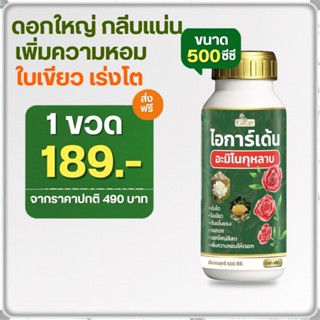 อะมิโนกุหลาบ  บำรุงกุหลาบครบ ใบสวย ต้นแข็ง ดอกดก ดอกใหญ่ กลิ…