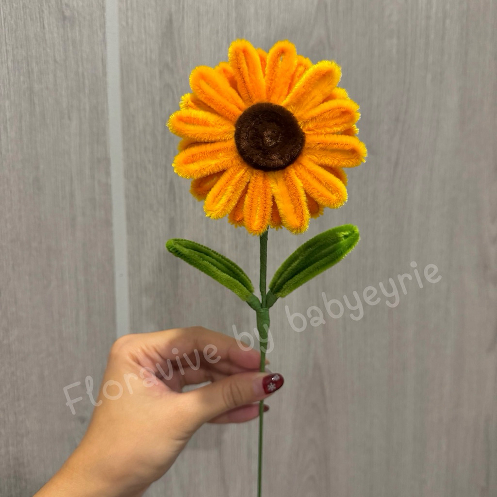 ดอกทานตะวัน “ดอกเดี่ยว” Sunflower 🌻 ขดลวดกำมะหยี่