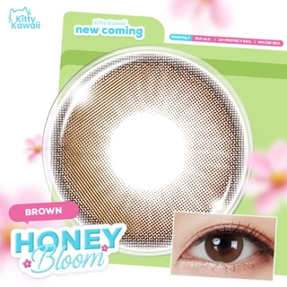 Kitty Kawaii Contact Lens : Honey Bloom - Brown (Blister pack) - คอนแทคเลนส์รายเดือน