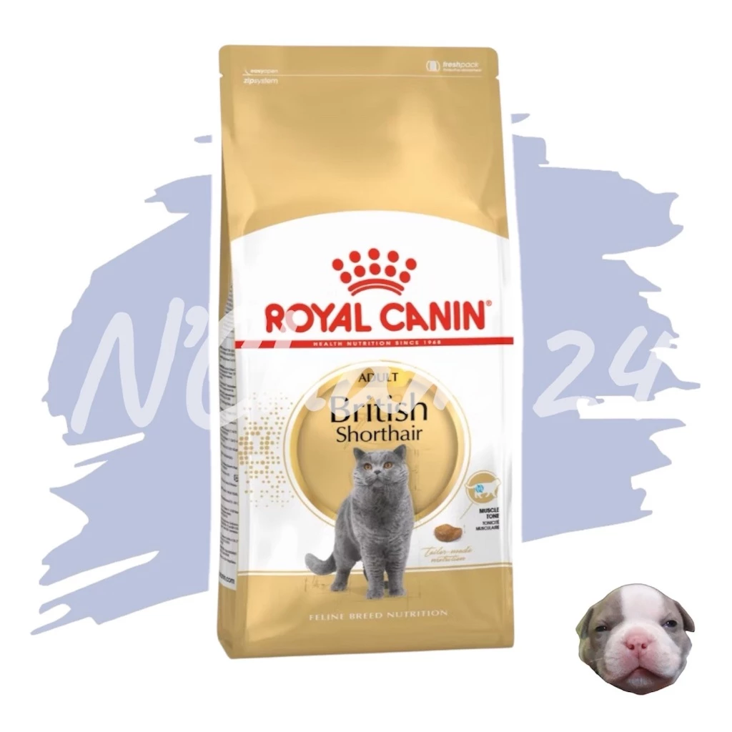 Royal Canin Adult British short hair 4kg อาหารแมวโต พันธุ์บริติช ชอร์ตแฮร์ 4 kg