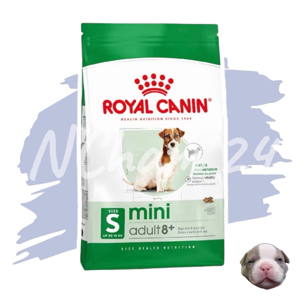 Royal canin Mini Adult 8+ ขนาด 2 กิโลกรัม อาหารสุนัขโต ขนาดเล็ก อายุ 8 ปีขึ้นไป